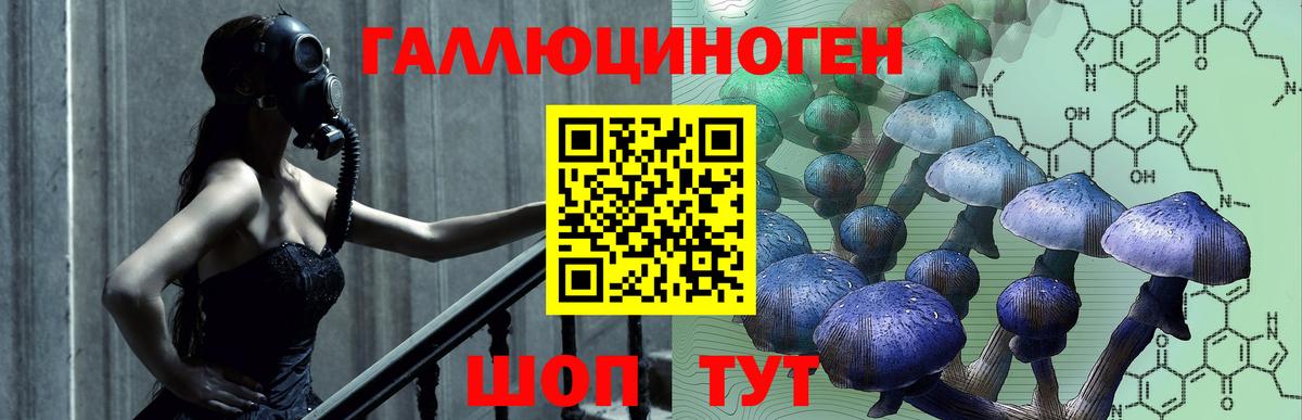 Псилоцибиновые грибы ЛСД Свободный